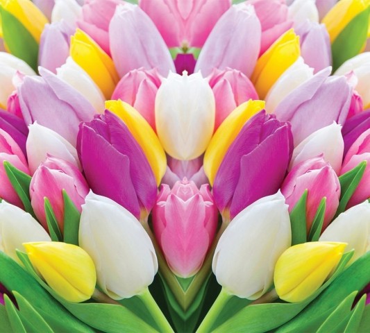 Декоративная подушка «Разнообразие тюльпанов» вид 3