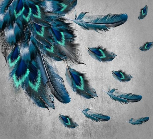 3D Подушка «Красивые перья на штукатурке» вид 2