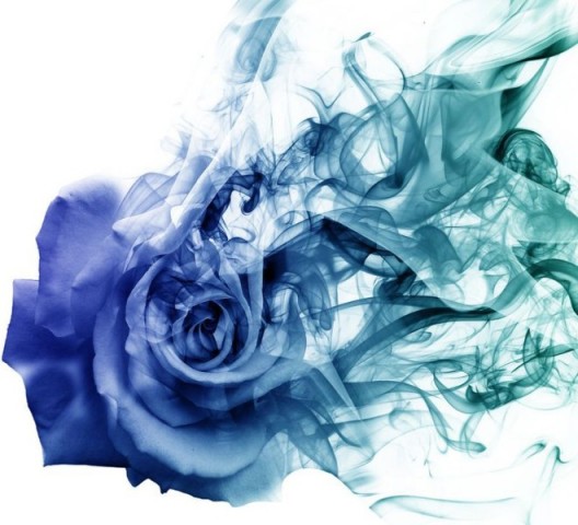 3D Подушка «Роза в небесной дымке» вид 2