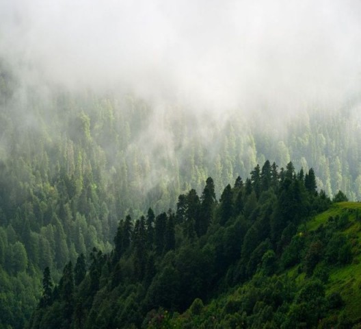 3D Подушка «Туман над зелеными вершинами» вид 2