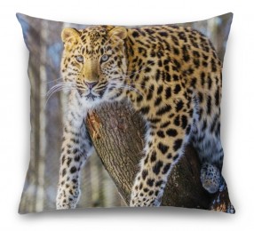3D Подушка «Амурский леопард»