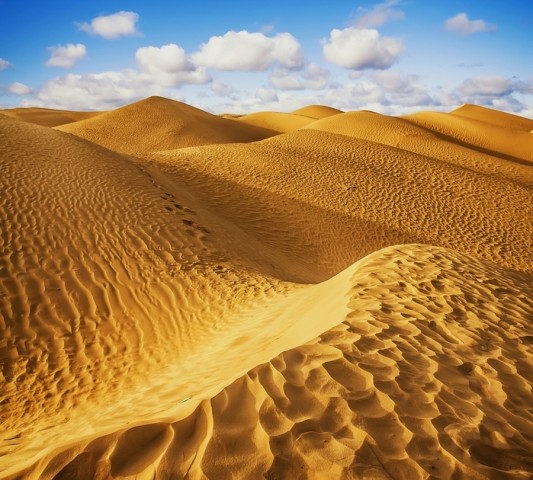 Сервировочные салфетки под тарелки «Пески пустыни» вид 2