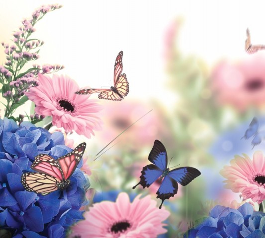 Сервировочные салфетки с фотопринтом «Бабочки над герберами» вид 2