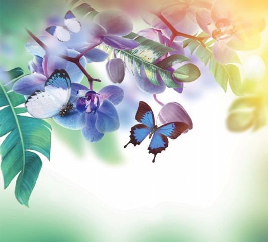 Салфетки для стола «Бабочки под орхидеей» вид 2