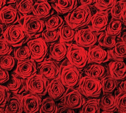 3D шторка для ванны «Миллион алых роз» вид 2