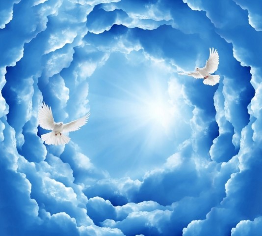 3D шторка для ванны «Голуби в небе» вид 2