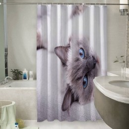 Шторы для ванной «Голубоглазая кошка»