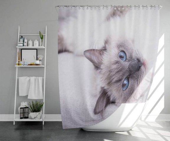 Штора для ванной «Голубоглазая кошка» вид 5