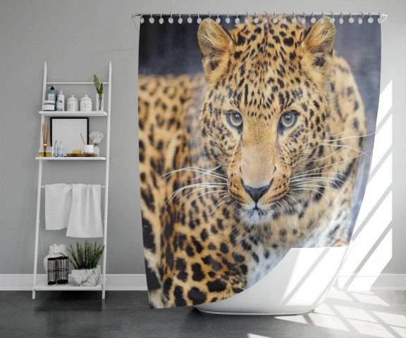 3D шторка для ванной «Красивый леопард» вид 5