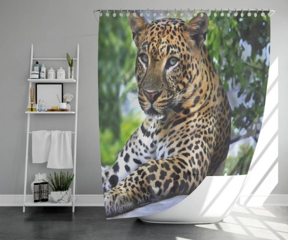 3D фото занавеска для ванной «Отдыхающий леопард» вид 5