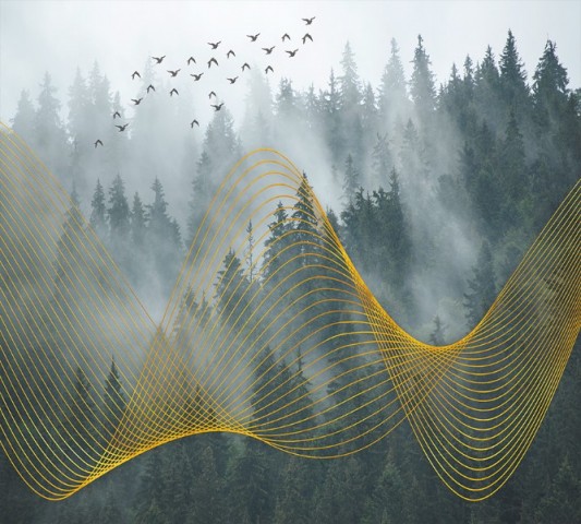 Текстильная скатерть для стола «Туман над лесом» вид 1