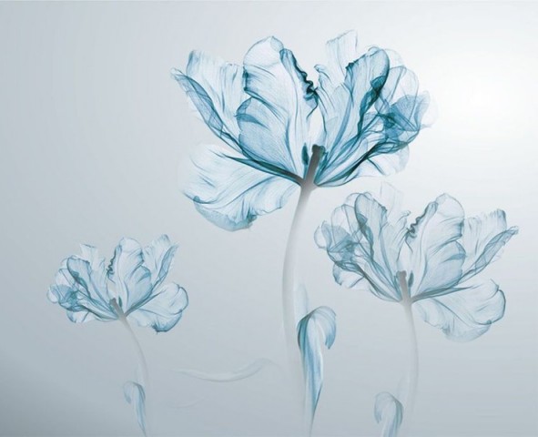 3D Скатерть «Облачные тюльпаны» вид 1