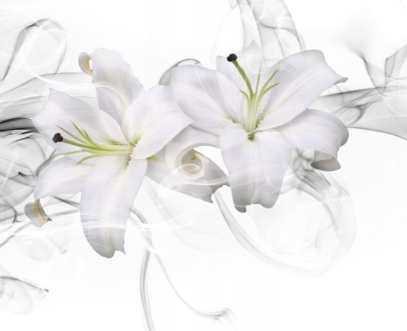 3D Скатерть «Пара белых лилий в дымке» вид 1