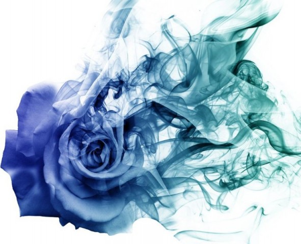 3D Скатерть «Роза в небесной дымке» вид 1