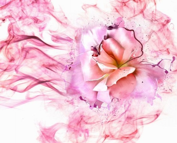 3D Скатерть «Перламутровая роза в розовой дымке» вид 1