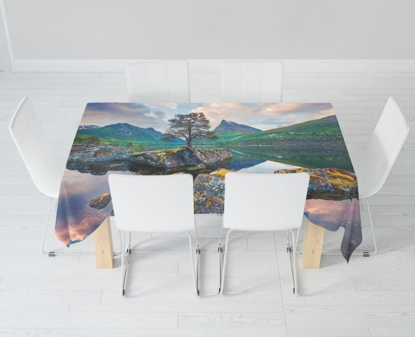 Полотняная 3D скатерть на обеденный стол «Дерево на камнях» вид 6