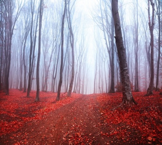 Полотняная скатерть на обеденный стол «Осенний лес в тумане» вид 1