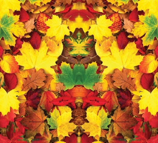 Полотняная скатерть на кухонный стол «Разноцветная листва» вид 1