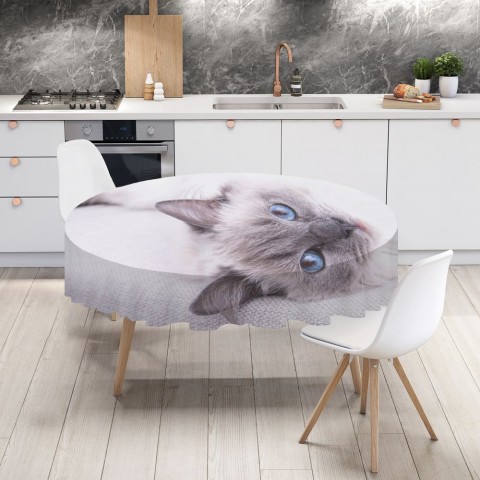 Тканевая 3D скатерть на кухню «Голубоглазая кошка» вид 4