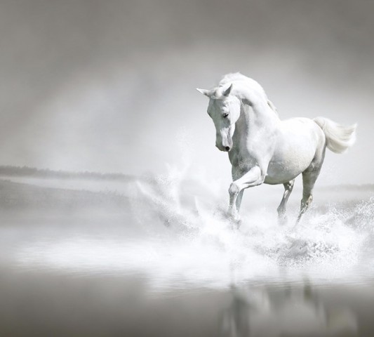 Полотняная скатерть на обеденный стол «Белый конь бегущий по воде» вид 1