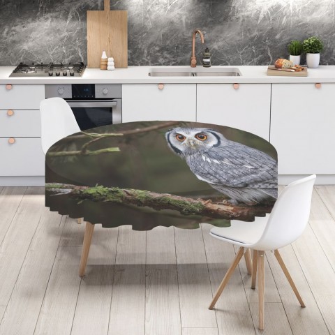 Текстильная 3D скатерть на кухонный стол «Симпатичная сова» вид 4