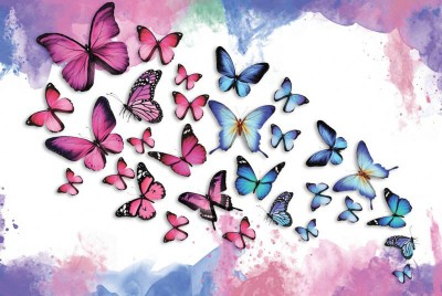 3D Фотообои «Красочные бабочки»