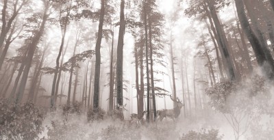 3D Фотообои «Олени в винтажном лесу »