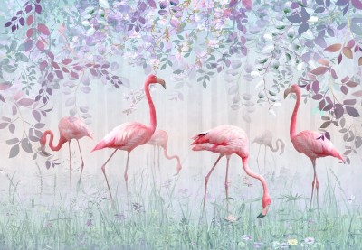 3D Фотообои «Фламинго в саду»