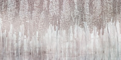 3D Фотообои «Ниспадающие лианы с цветами в бежевых тонах»