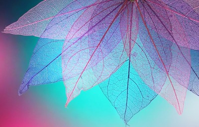 3D Фотообои «Яркий веер из листьев»