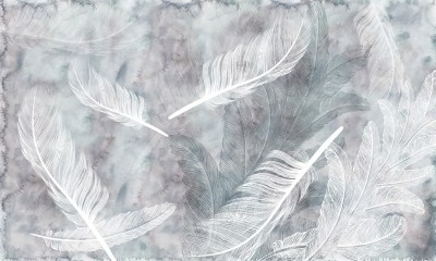 3D Фотообои  «Воздушные перья»