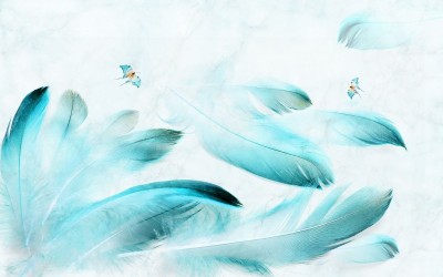 3D Фотообои «Бабочки в бирюзовых перьях»