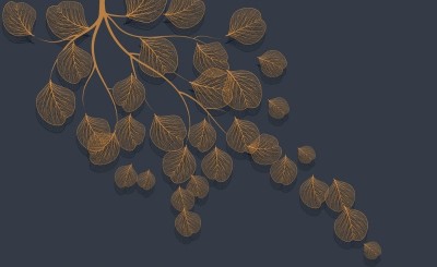 3D Фотообои «Утончённая ветвь в свете заката»