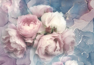 3D Фотообои «Розы за флюидным туманом»