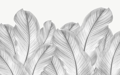 3D Фотообои «Крупные листья стального оттенка»