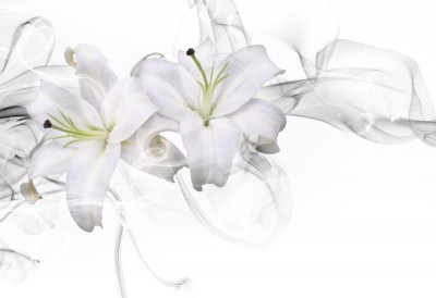 3D Фотообои «Пара белых лилий в дымке»