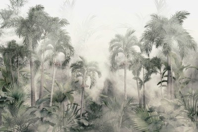 3D Фотообои «Туманные джунгли»