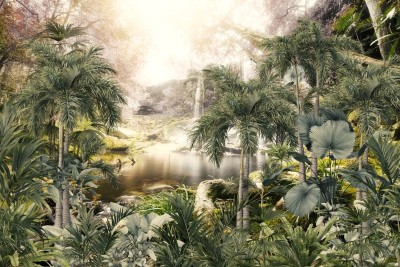 3D Фотообои «Закат в тропиках»