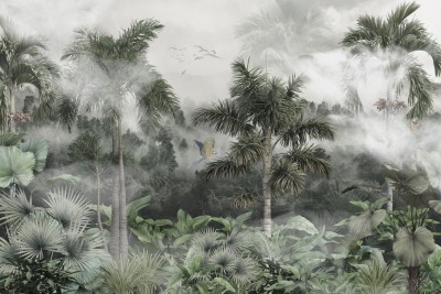 3D Фотообои «Попугаи в туманных тропиках»
