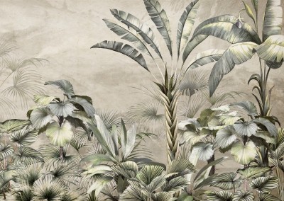 3D Фотообои «Тропическая композиция на пергаменте»