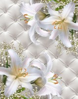 3D Фотообои «Белые лилии на роскошной коже» 126x100