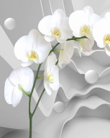 3D Фотообои «Белая орхидея на обьъемном фоне» 200x250