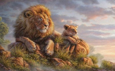 3D Фотообои «Величественные львы»