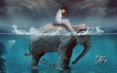 3D Фотообои «Девушка на слоне»