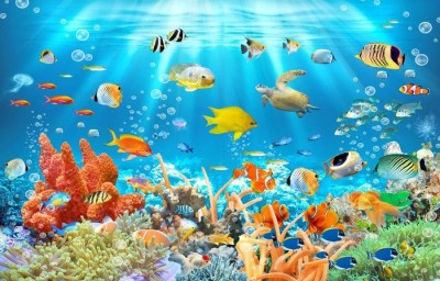 3D Фотообои «Разноцветный подводный мир»