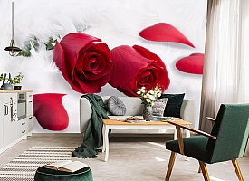 3D Фотообои  «Красные розы в перьях» 