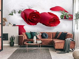 3D Фотообои  «Красные розы в перьях» 