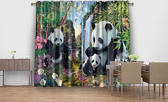 3D Фотообои «Семейство панд»