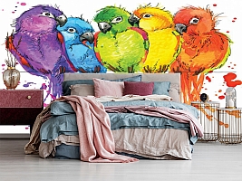 3D Фотообои «Яркие попугайчики»