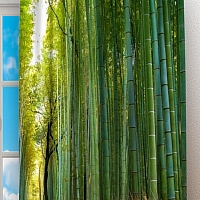 Фотошторы «Дорога через бамбук» вид 2